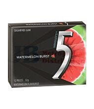 32G 5GUM WATERMELON 12 PIECE