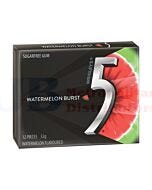 32G 5GUM WATERMELON 12 PIECE