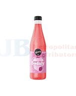 330ML REMEDY SODALY RASPBERRY