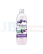 475ML WATERFORDS LIGHT & FRUITY BLACKCURRANT